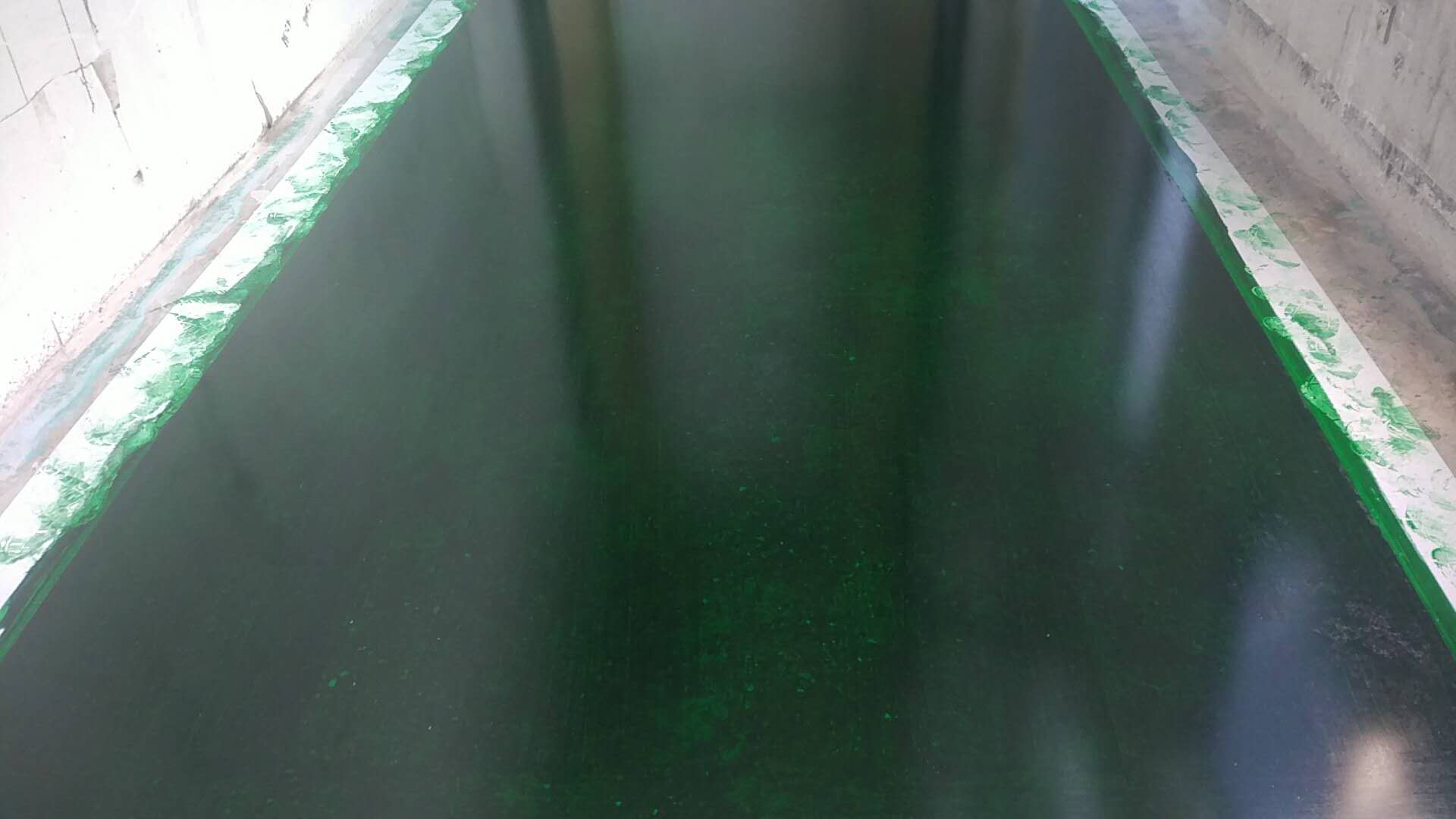 圖片5